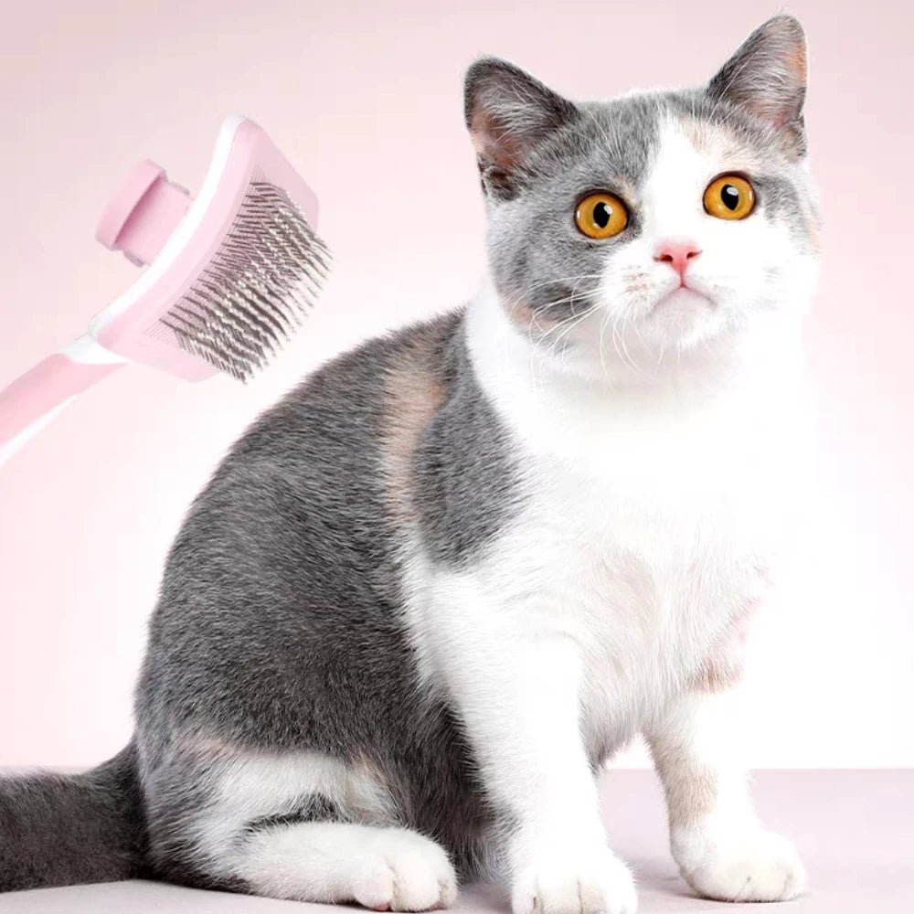 Self-Cleaning Slicker Brush